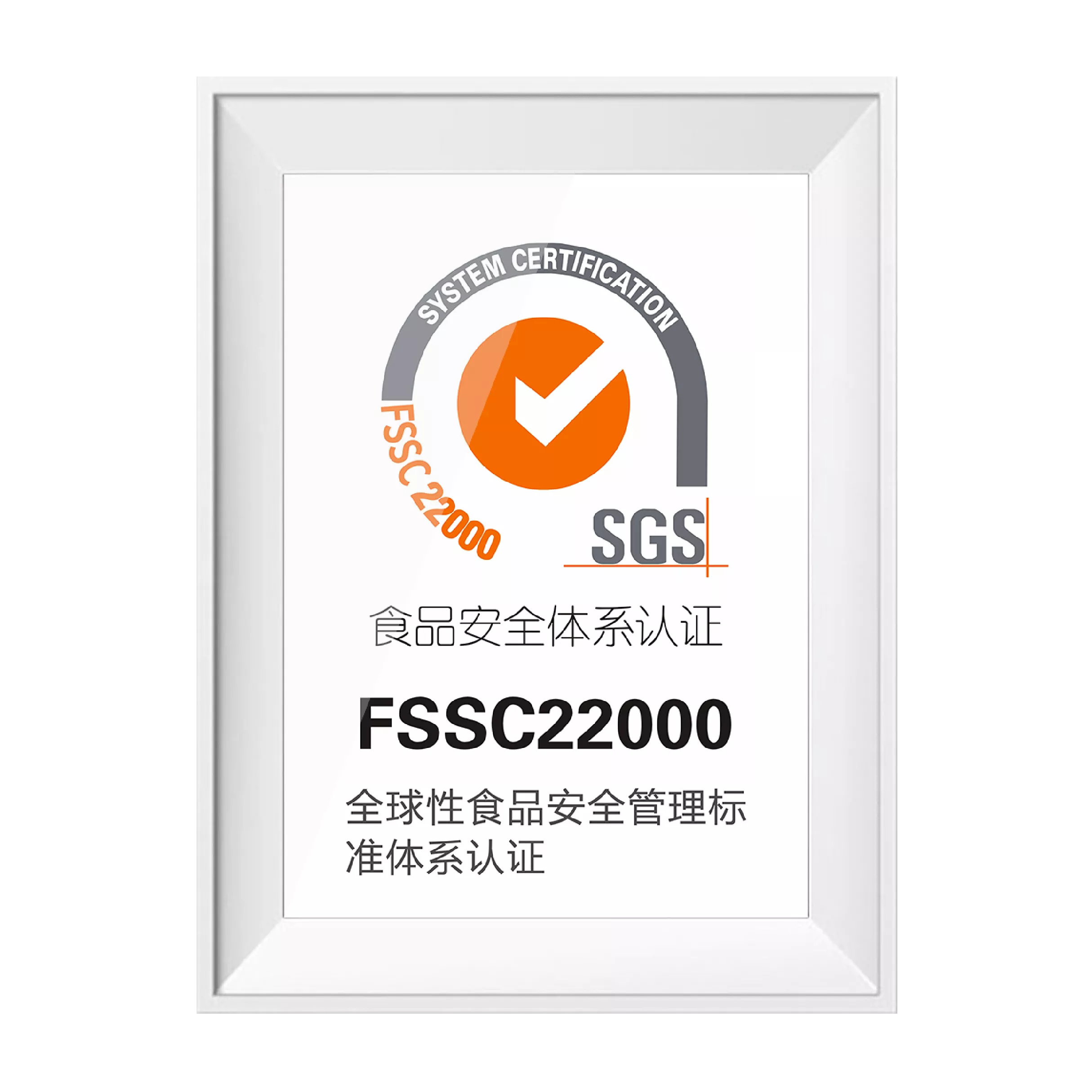 IOS22000认证